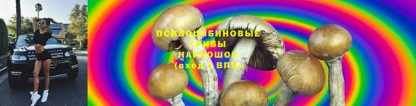 каннабис Арсеньев