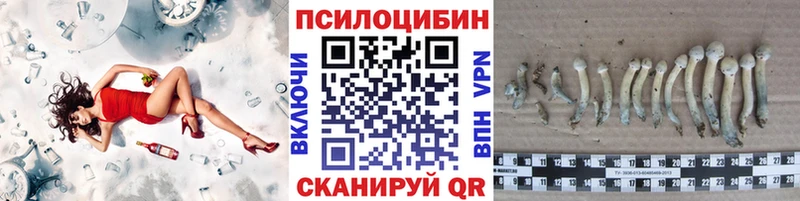 Псилоцибиновые грибы Psilocybe  Балей 